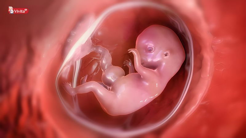 Nguyên nhân sinh lý 