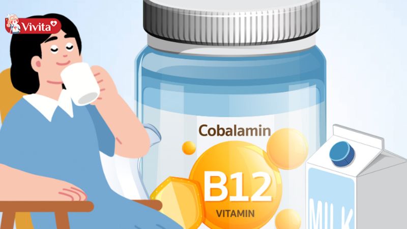 Vitamin B12 góp phần vào nhiều hoạt động của cơ thể