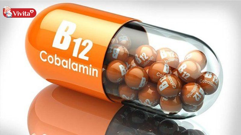 Vitamin B12 là vi chất quan trọng đối với sức khoẻ