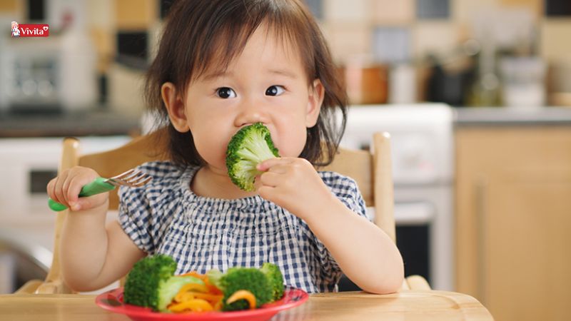 bổ sung chất xơ giúp hỗ trợ tiêu hóa