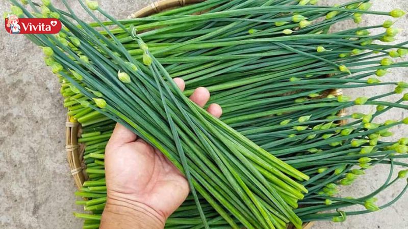 Rối loạn cương dương có thể bổ sung thêm hẹ vào thực đơn ăn uống hàng ngày