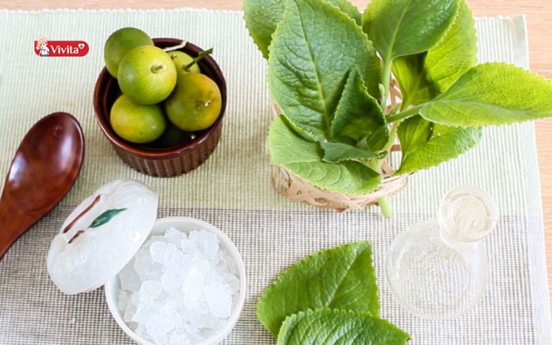 Chuẩn bị nguyên liệu làm siro húng chanh tại nhà