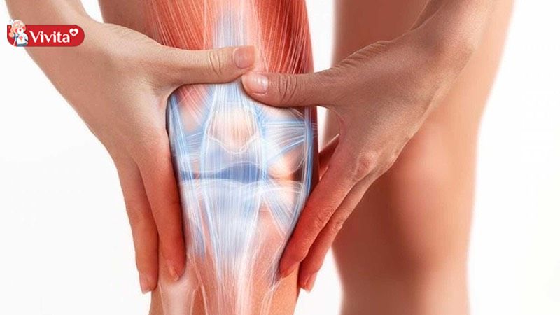 thuốc tăng chất nhờn cho khớp gối của nhật