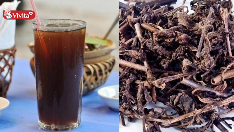 cây bồ bồ có tác dụng gì